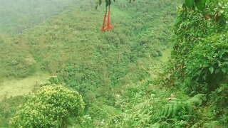 Ormanda Kolombiyalı Dil Vermek ve maddi Yardım karşılığında yabancılarla Seks Yapmak.