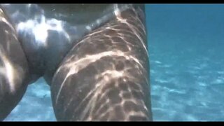 ���້ອນ chick ພາລະໄດ້,ນ້ໍາຢູ່ໃນໂຫ da barra ອີ bahia