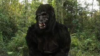 Кралот Донг&amp;#039;s 40oz Отскокнување!