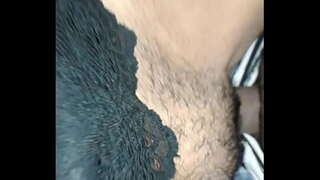 کھانے میری کتیا کار میں