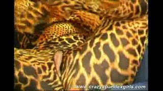 Сумасшедшая кыз бири спандекса, дразнящий секс