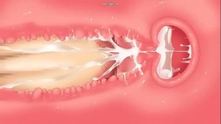 Džesikosej je u vašici od Misudena