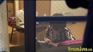 Япон чакламын лесбос