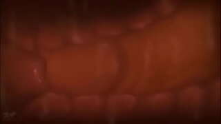 Cumming i roto i te kopu