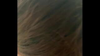 мьянманский оҫталары йәшәгән йорт майҙа пьинмана зауҡы чт